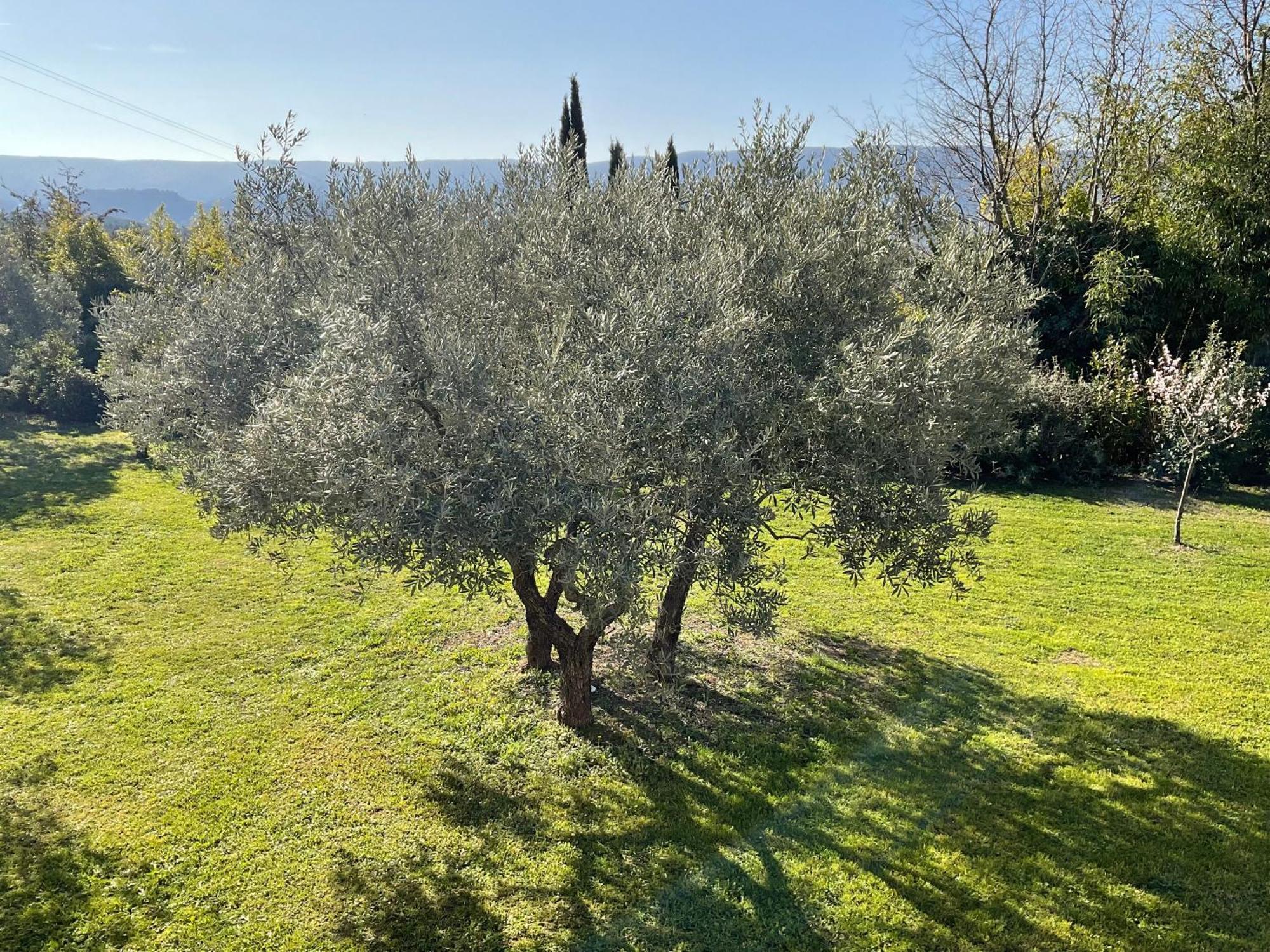 Bed and Breakfast Provence Km28 Gordes Exterior foto