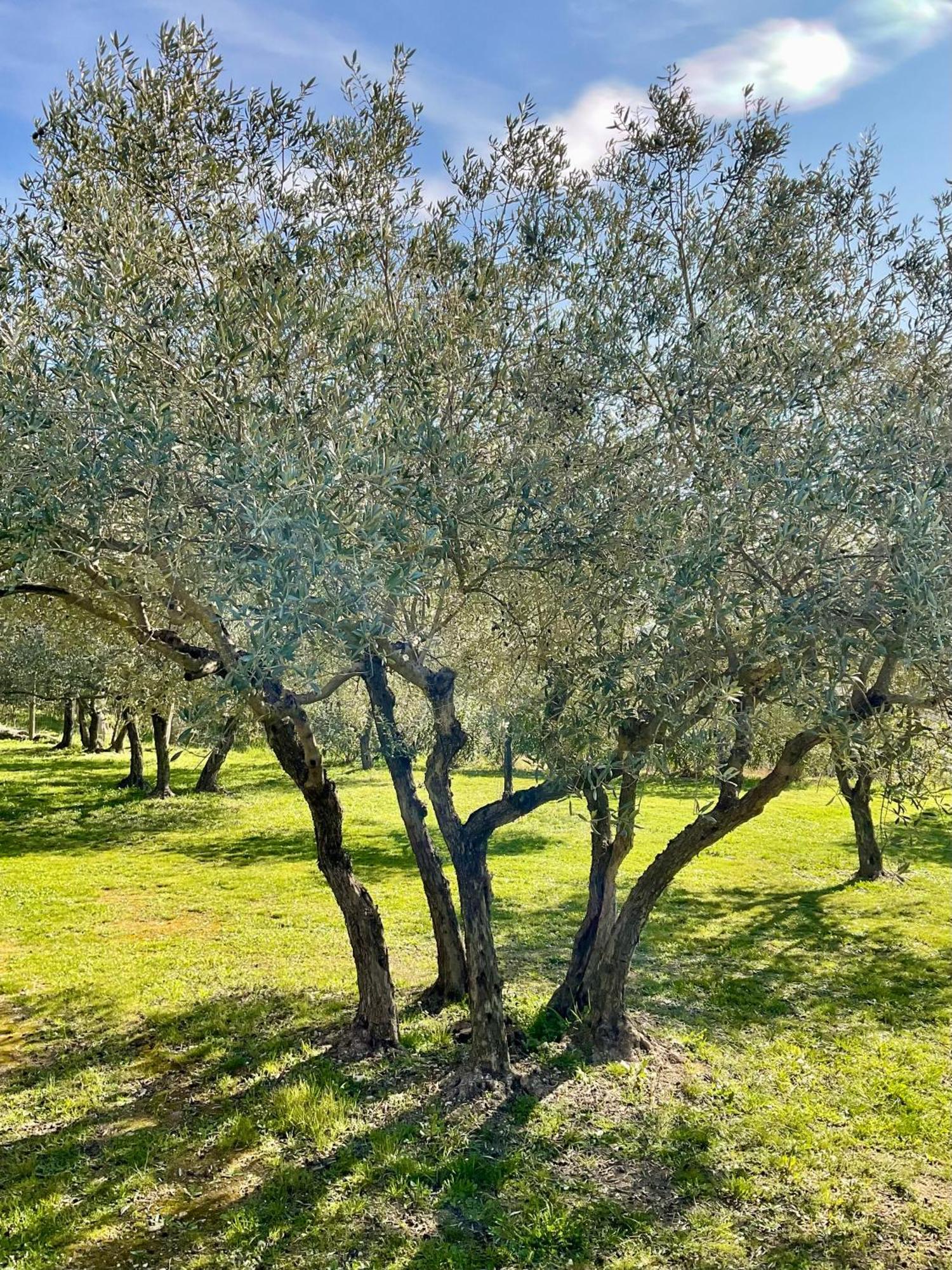 Bed and Breakfast Provence Km28 Gordes Exterior foto