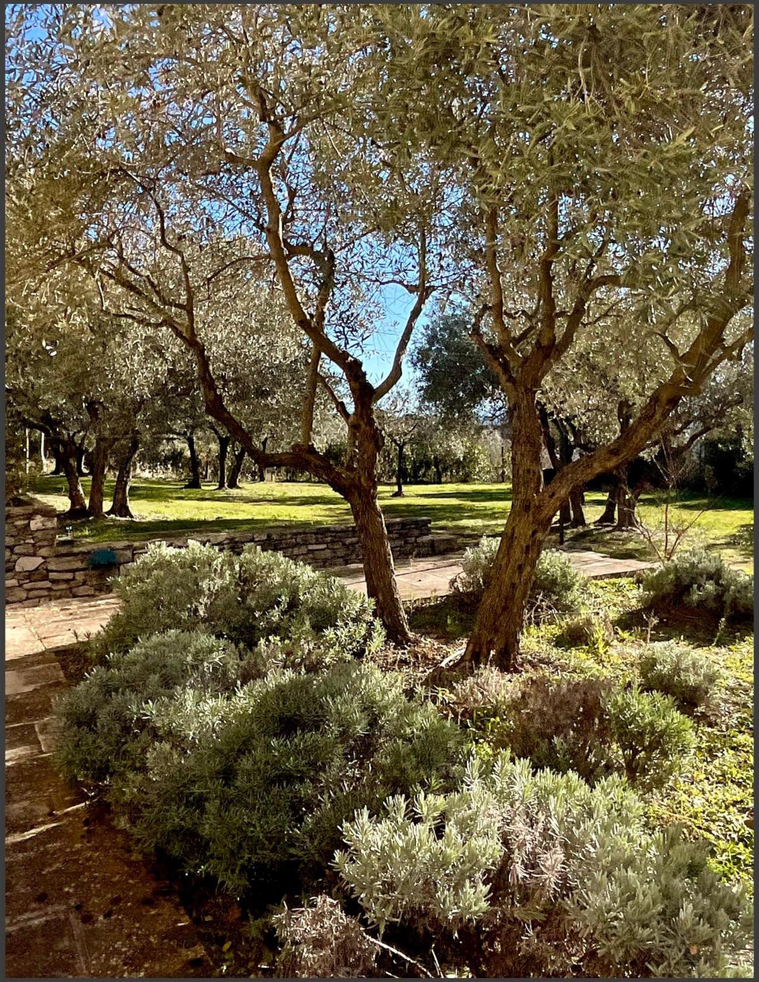 Bed and Breakfast Provence Km28 Gordes Exterior foto